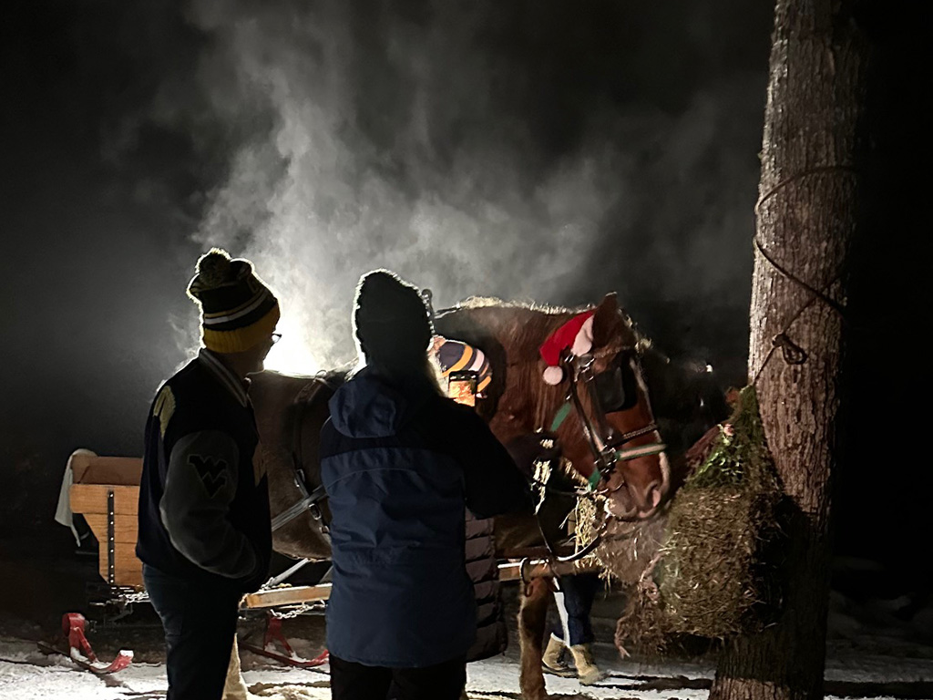 Taking photos with the horses