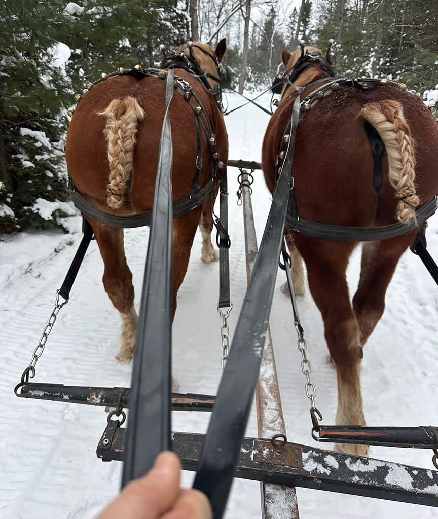 Sleigh ride through the woods
